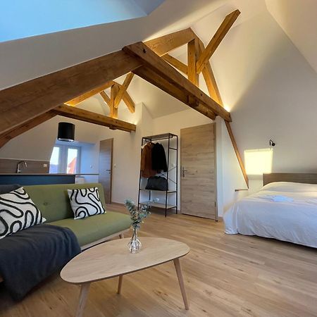 Appartement Moderne Et Spacieux, A 10 Min De La Gare Кольмар Экстерьер фото