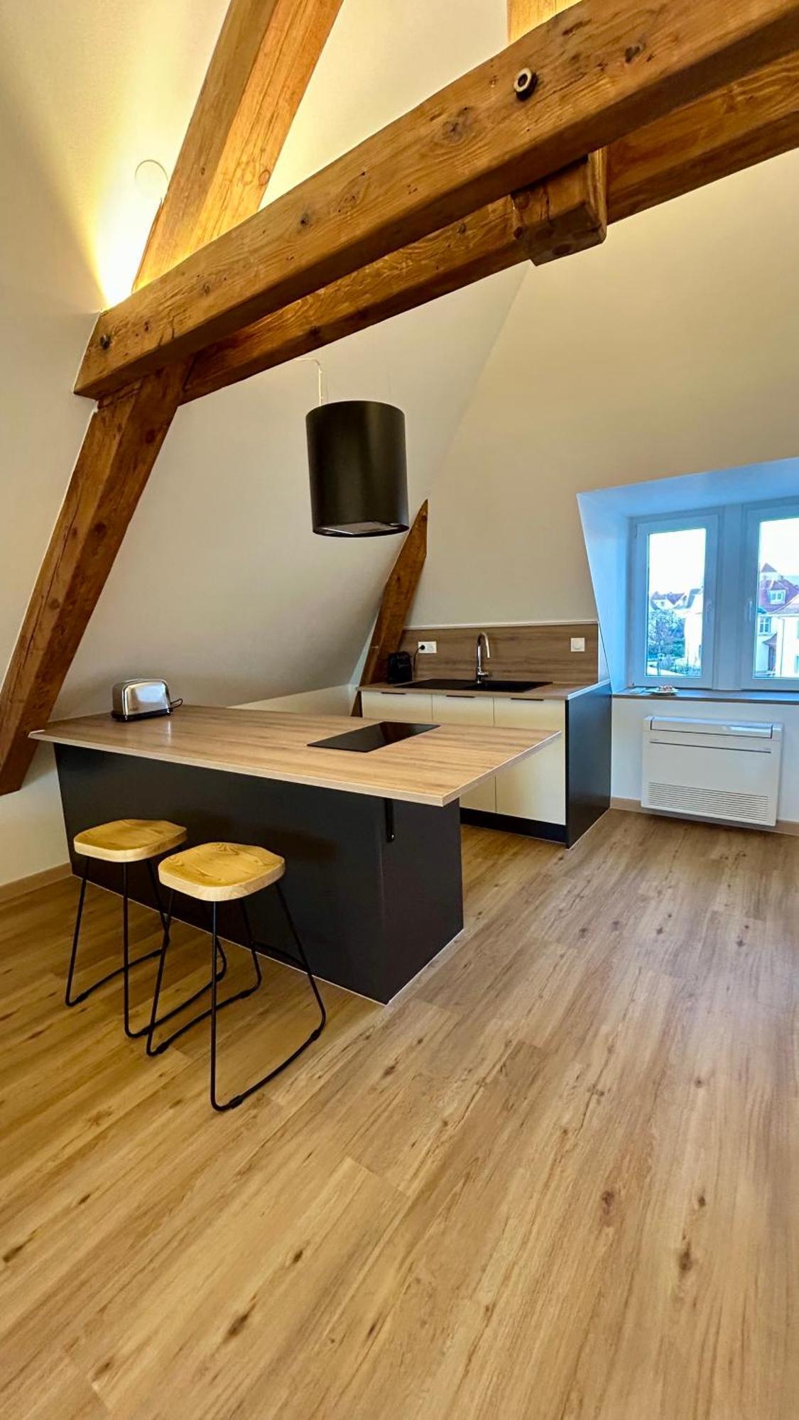Appartement Moderne Et Spacieux, A 10 Min De La Gare Кольмар Экстерьер фото