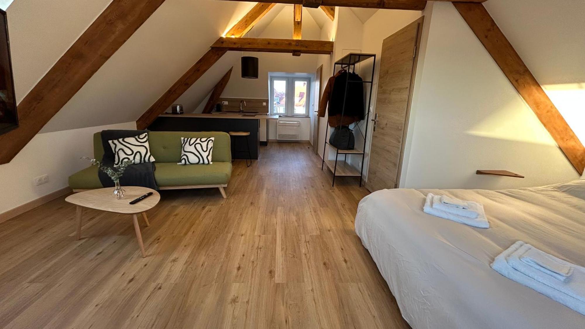 Appartement Moderne Et Spacieux, A 10 Min De La Gare Кольмар Экстерьер фото