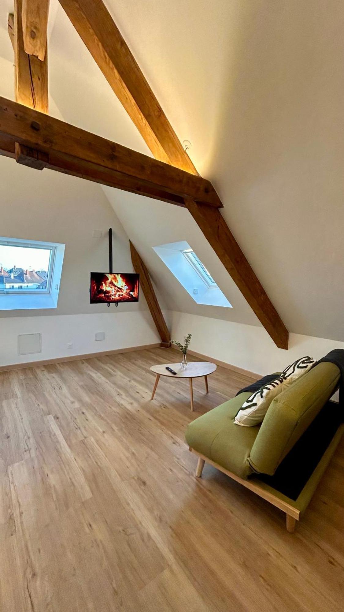 Appartement Moderne Et Spacieux, A 10 Min De La Gare Кольмар Экстерьер фото